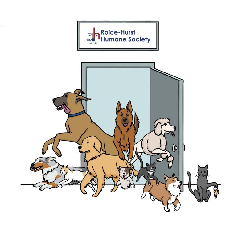 Fundraising Header image