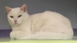 Fundraising Page Image