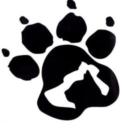 Fundraising Page Image