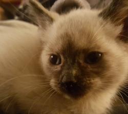 Fundraising Page Image