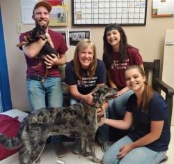 Fundraising Page Image