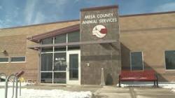 Fundraising Page Image