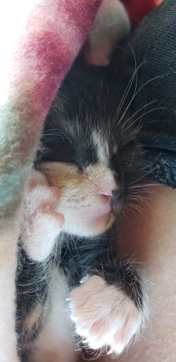 Fundraising Page Image