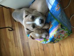 Fundraising Page Image