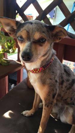 Fundraising Page Image