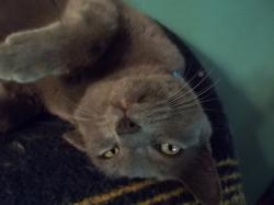 Fundraising Page Image