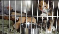 Fundraising Page Image