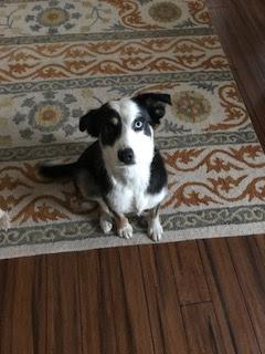 Fundraising Page Image