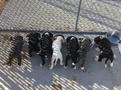 Fundraising Page Image