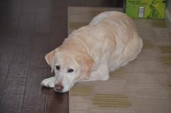 Fundraising Page Image