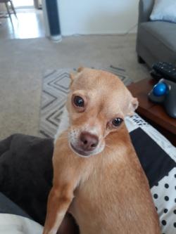 Fundraising Page Image