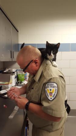 Fundraising Page Image