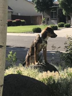 Fundraising Page Image