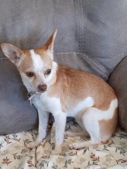 Fundraising Page Image